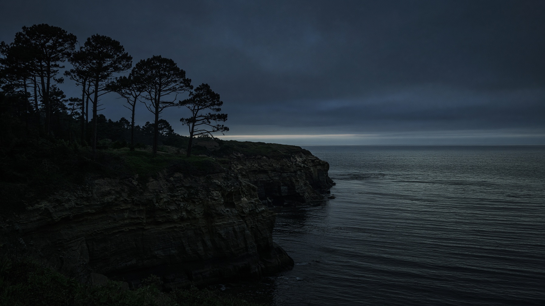Coastal cliffs and pines at blue hour